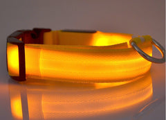 LED Dog Collar Nylon Light Up safety collar in golden color for pets, featuring a durable nylon design.