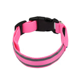 Luminous LED Safety Dog Collar