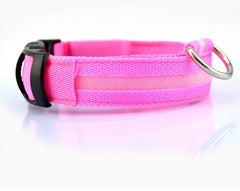 LED Dog Collar Nylon Light Up safety collar in pink, designed for pet visibility during nighttime walks.