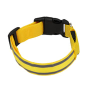 Luminous LED Safety Dog Collar