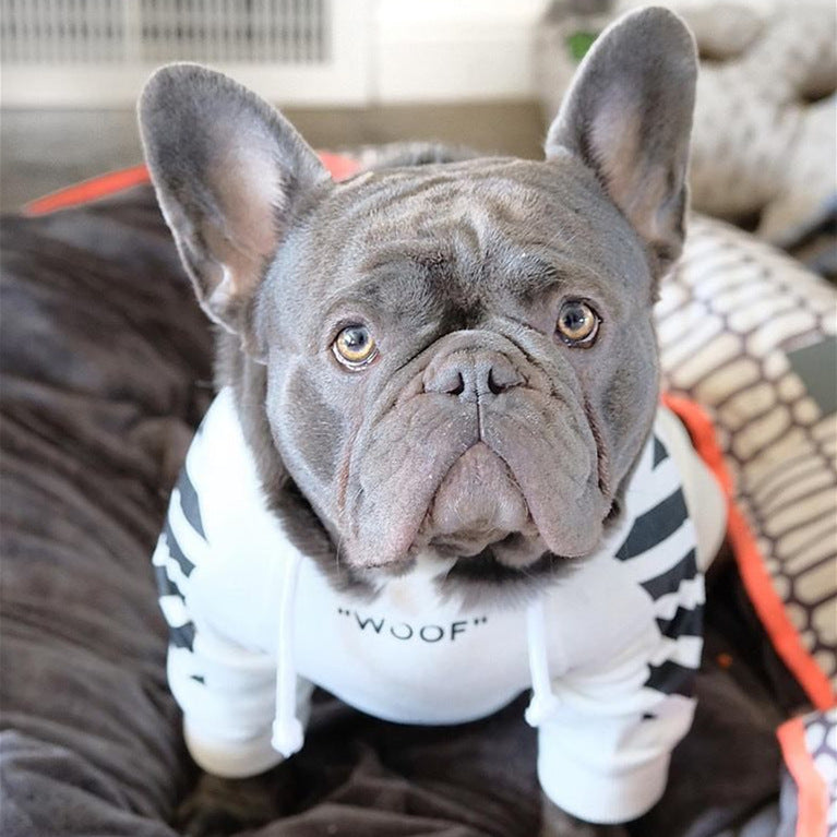 Warm Dog Sweater for Autumn & Winter