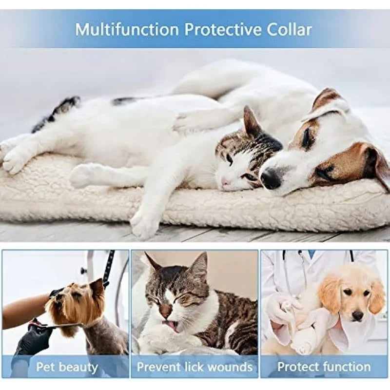 Inflatable Pet Recovery Collar