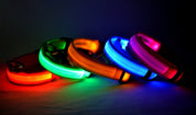 Flashing Night Safety Pet Collar