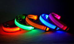 LED Dog Collar Nylon Light Up displayed in various bright colors for nighttime visibility and safety.