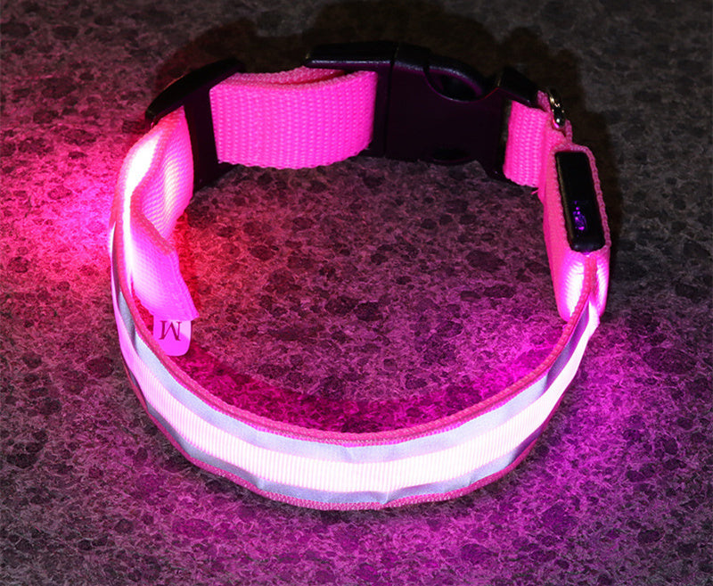 Luminous LED Safety Dog Collar