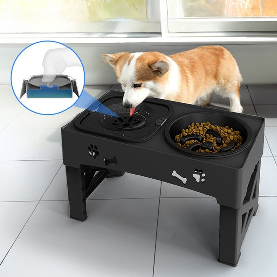 PetCare Integrated Dog Feeder