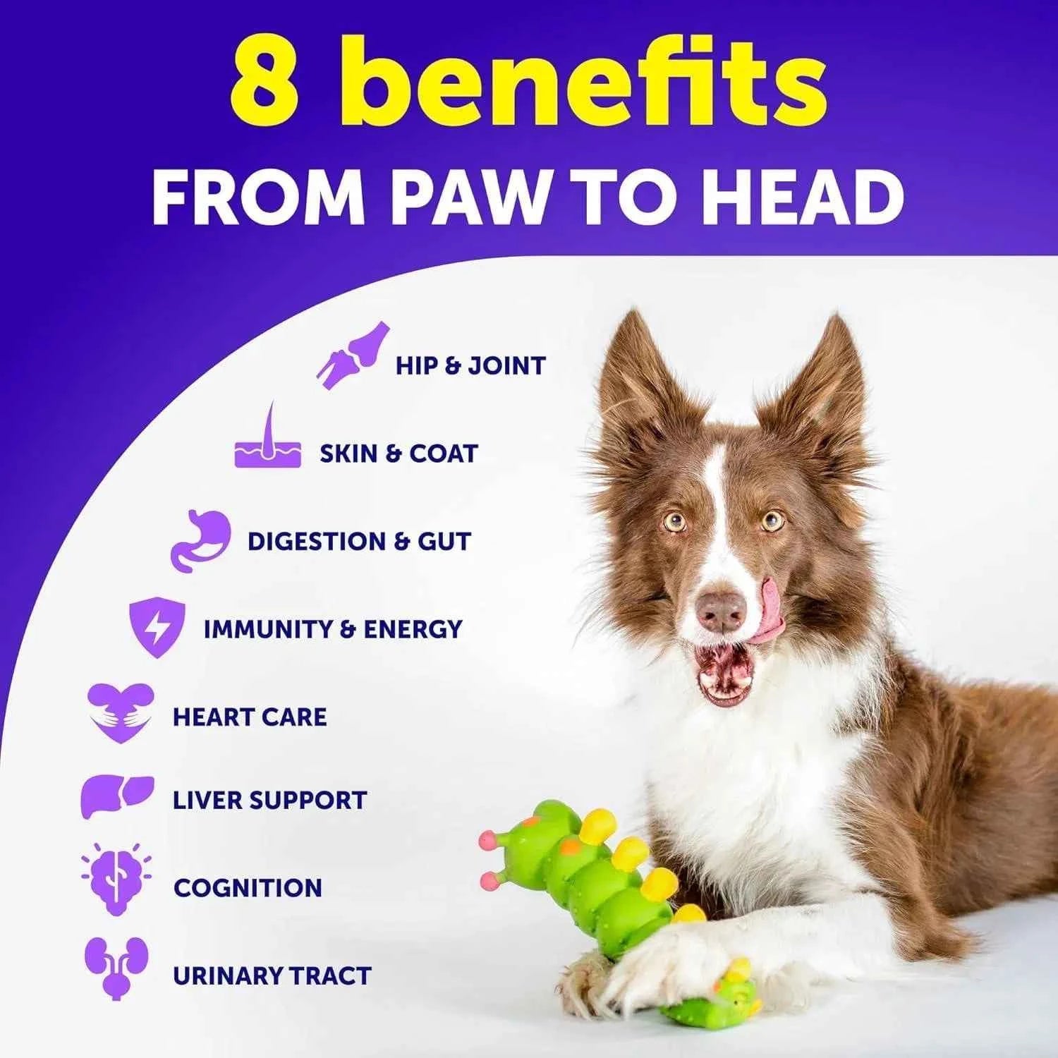 All-in-One Dog Multivitamin & Joint Supplement | 20-in-1 Chewable Vitamins for Puppies to Seniors (120 Chews)