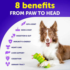 All-in-One Dog Multivitamin & Joint Supplement | 20-in-1 Chewable Vitamins for Puppies to Seniors (120 Chews)