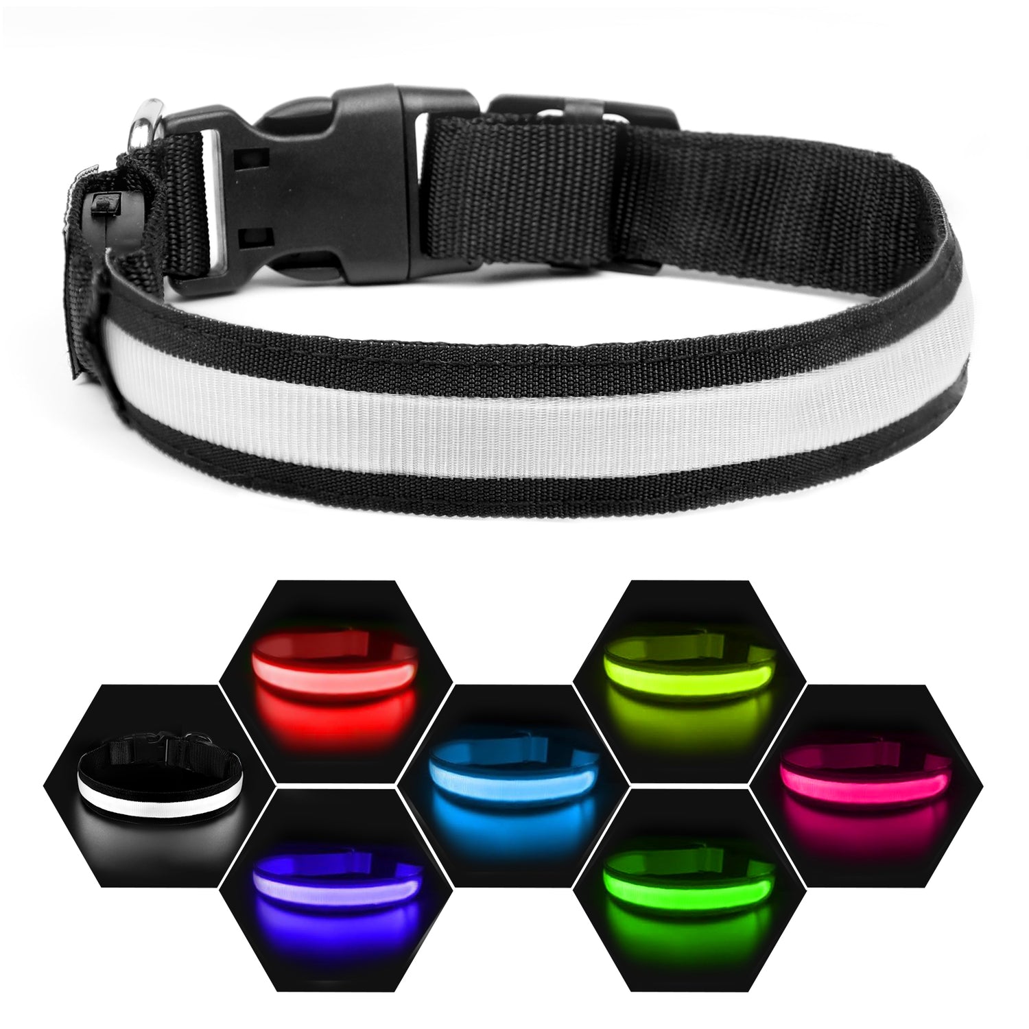 Dog Collar Lights