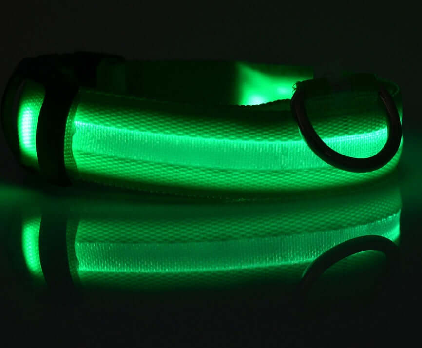 LED Dog Collar Nylon Light Up safety collar in green color for pets, featuring a durable nylon design.