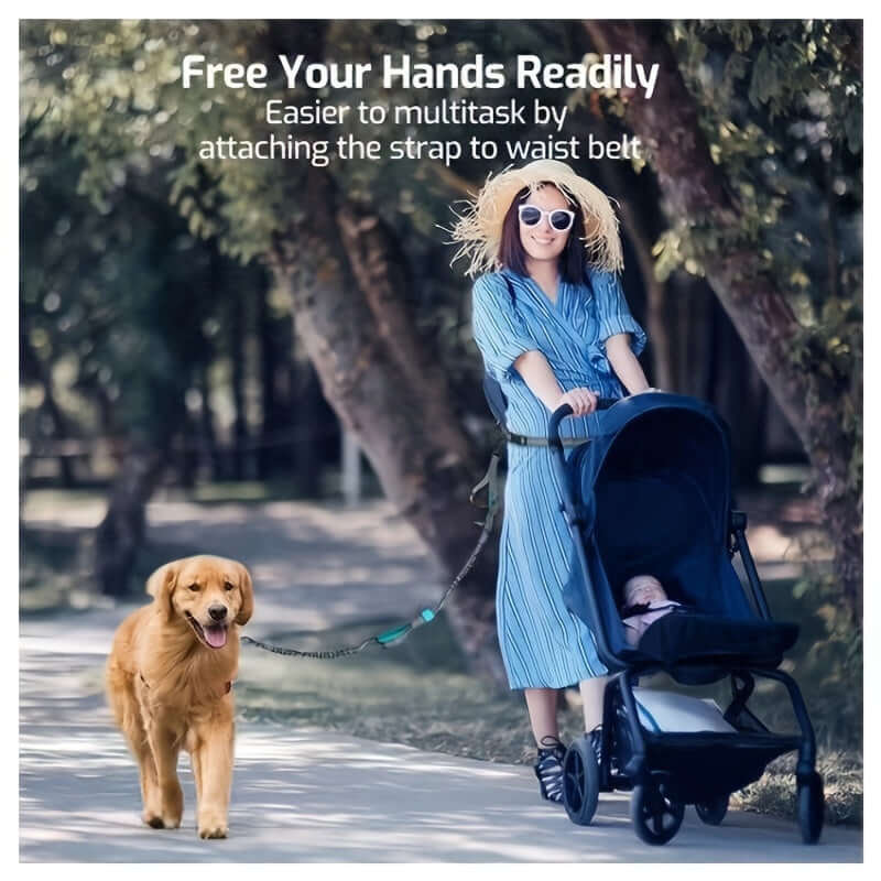 Hands Free Dog Leash for Running and Walking