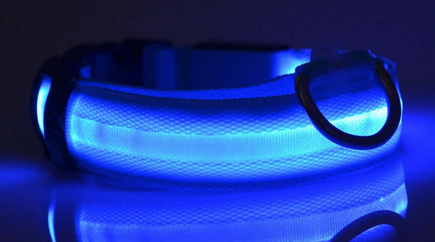 LED Dog Collar Nylon Light Up safety collar in blue color for pets, featuring a durable nylon design.