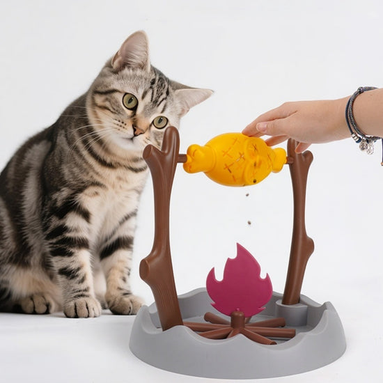 Freeze-Dried Treat Feeder Toy