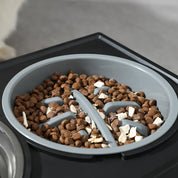 Anti-Choke Slow Feeder Dog Bowl
