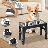 Stainless Steel Double Dog Feeding Station