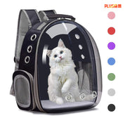 Large Capacity Transparent Pet Backpack