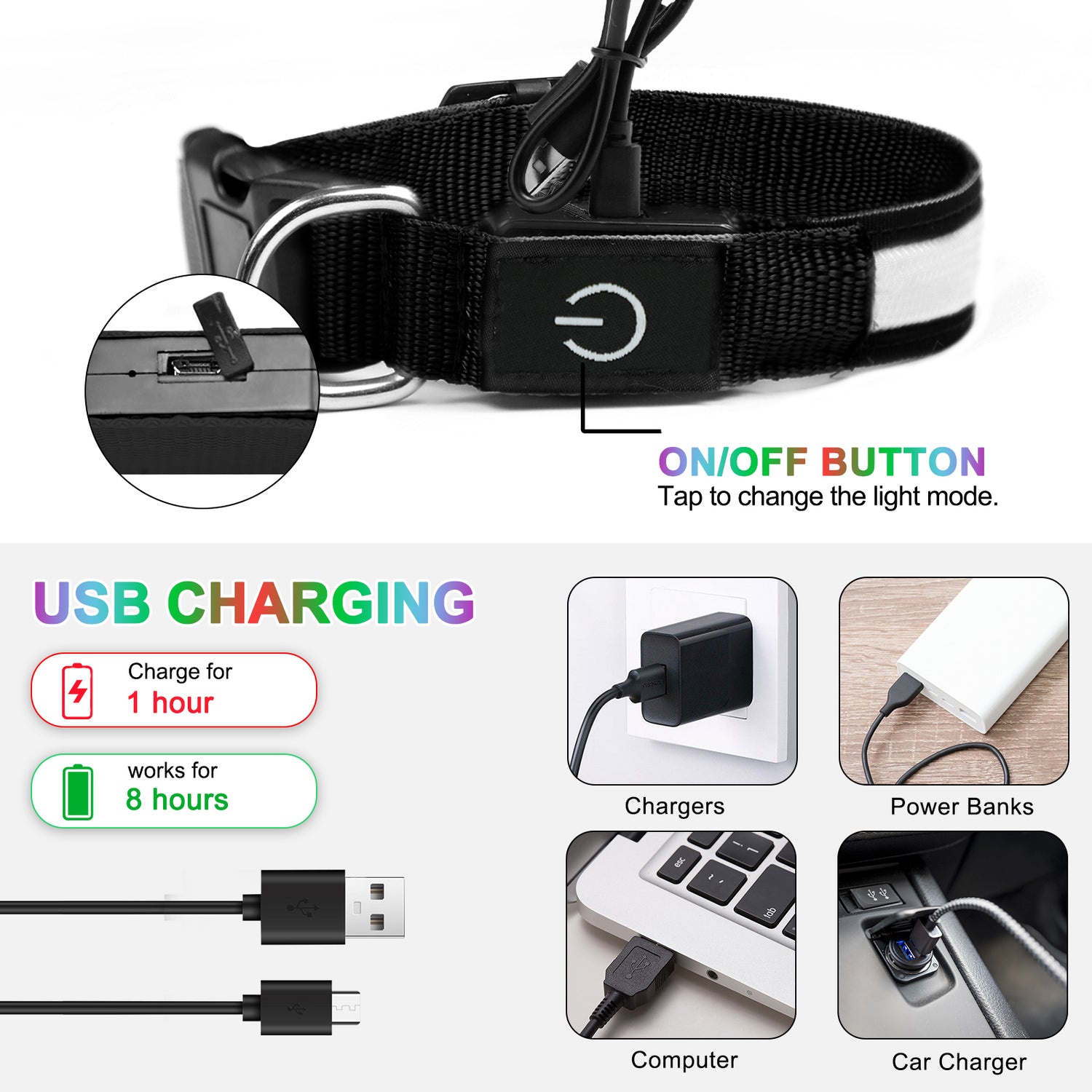 Dog Collar Lights