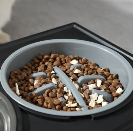 Anti-Choke Slow Feeder Dog Bowl