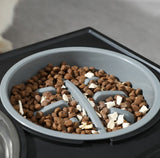 Anti-Choke Slow Feeder Dog Bowl