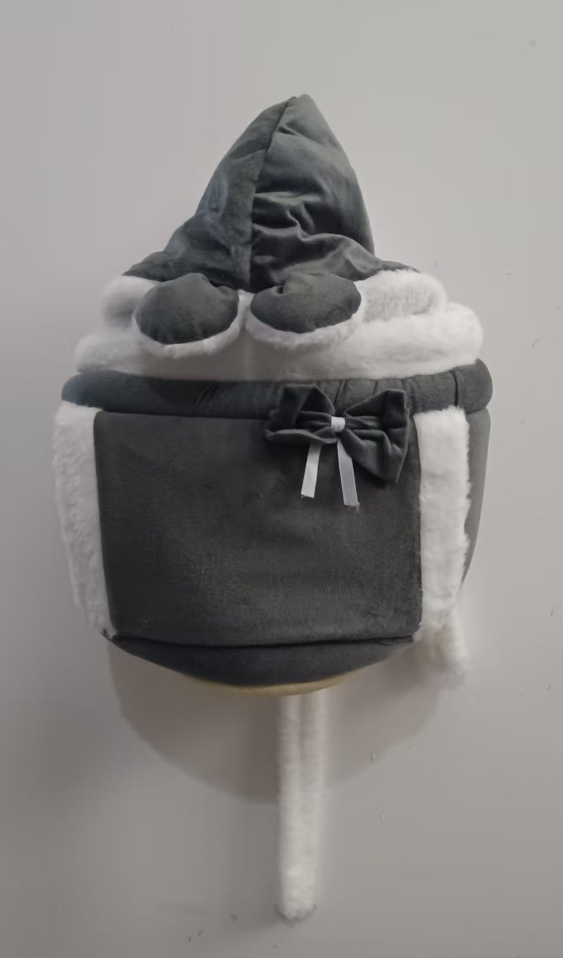 Indoor & Outdoor Cat Backpack