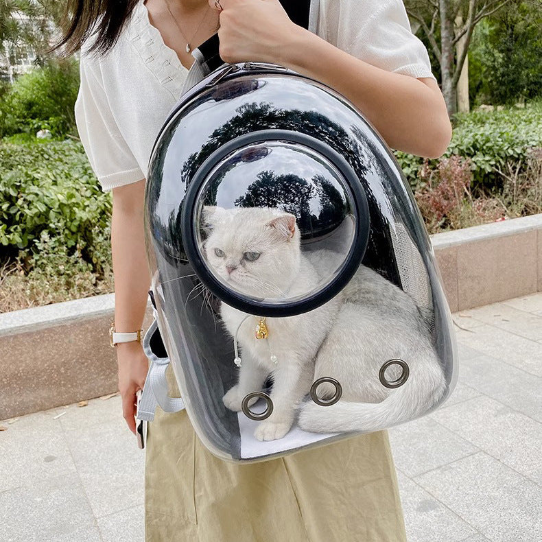 AirFlow Pet Travel Carrier