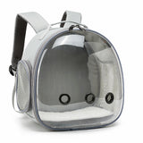 Transparent Small Pet Carrier Backpack