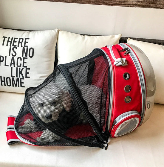 Space Bubble Pet Backpack