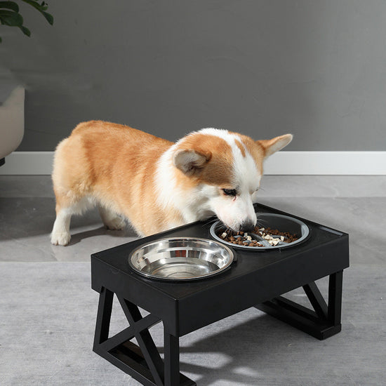 Anti-Choke Slow Feeder Dog Bowl