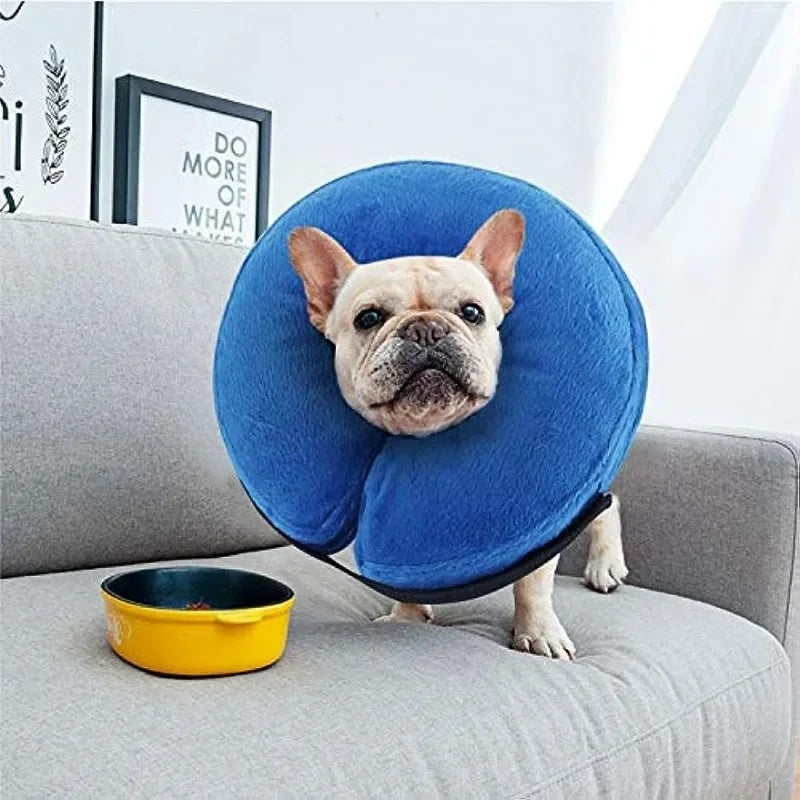 Inflatable Pet Recovery Collar