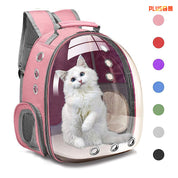 Large Capacity Transparent Pet Backpack