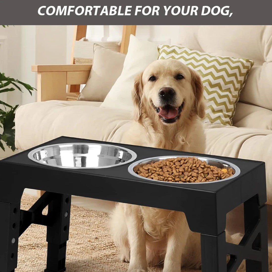 Stainless Steel Double Dog Feeding Station