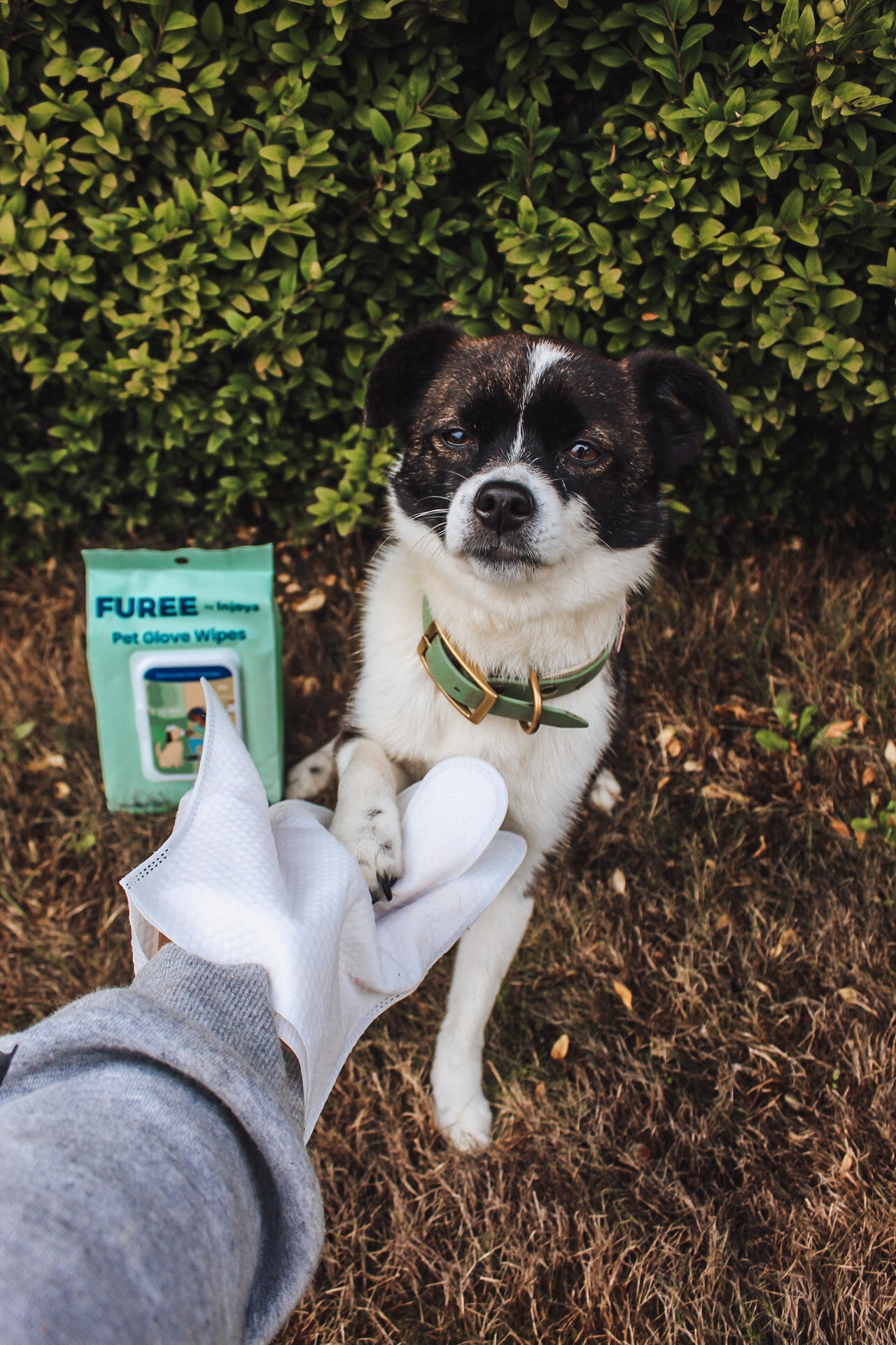 Pet Glove Wipes