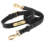 Teddy Dog Collar Rope