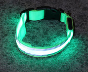 Luminous LED Safety Dog Collar