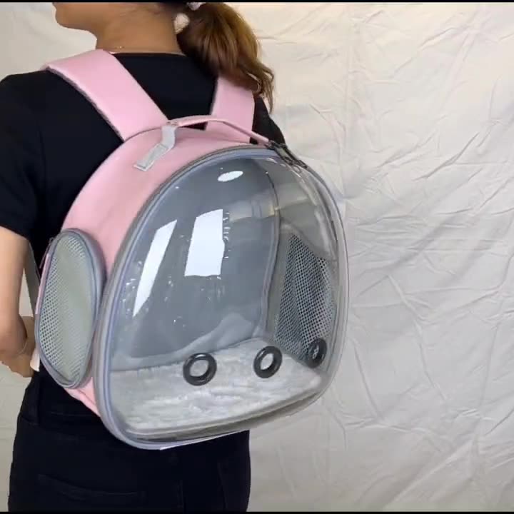 Transparent Small Pet Carrier Backpack