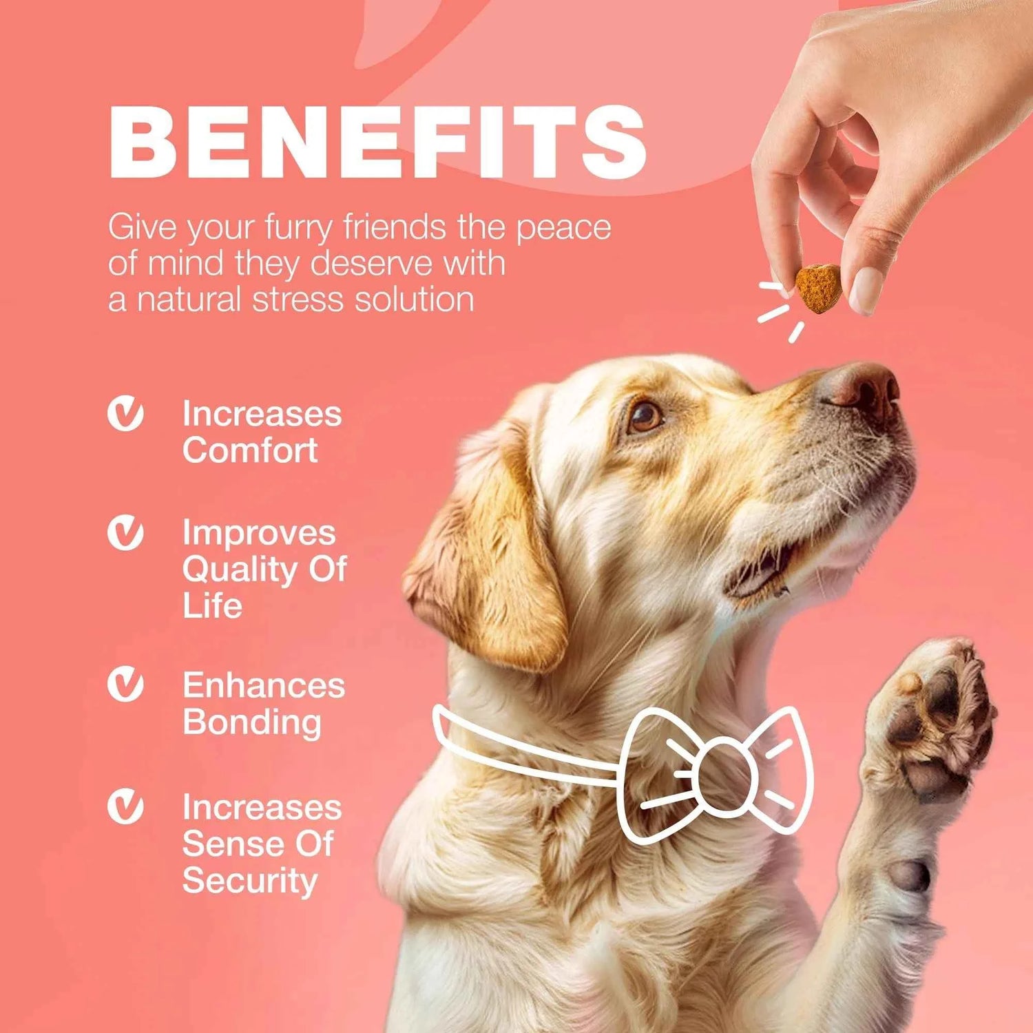 Natural Flea and Tick Prevention Chews for Dogs | Immune Support Supplement