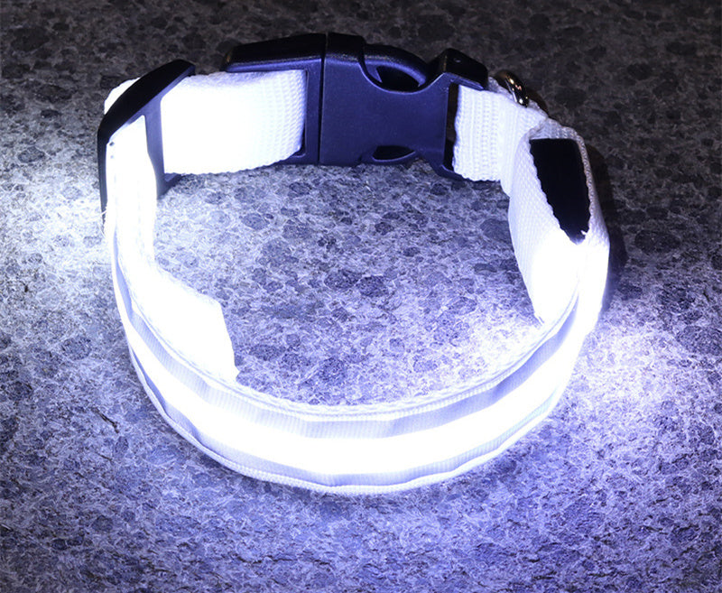 Luminous LED Safety Dog Collar