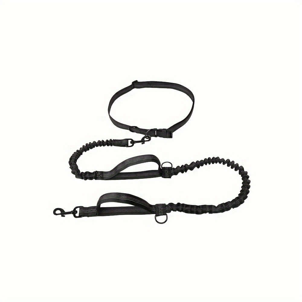 Hands Free Dog Leash for Running and Walking