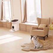 Button Control Automatic Pet Feeder