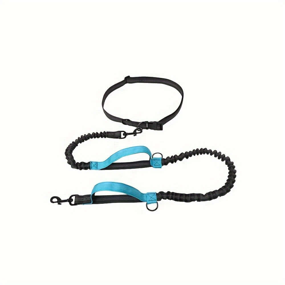 Hands Free Dog Leash for Running and Walking