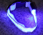Luminous LED Safety Dog Collar