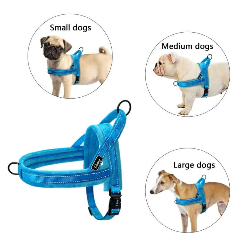No Pull Dog Harness Leash Adjustable Pet Harness in blue color