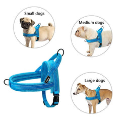 No Pull Dog Harness Leash Adjustable Pet Harness in blue color