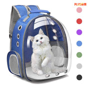 Large Capacity Transparent Pet Backpack