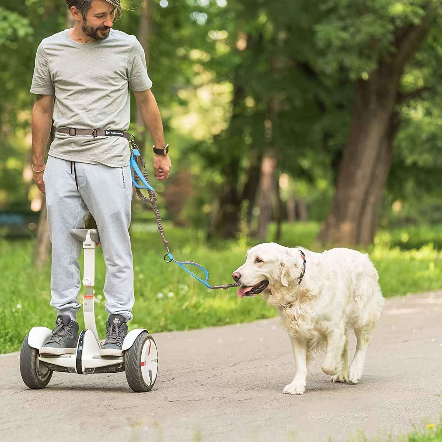 Hands Free Dog Leash for Running and Walking