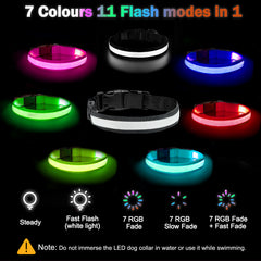 Dog Collar Lights