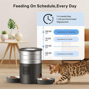 Double Bowl Smart Pet Feeder