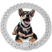 Diamond Metal Dog Collar & Leash