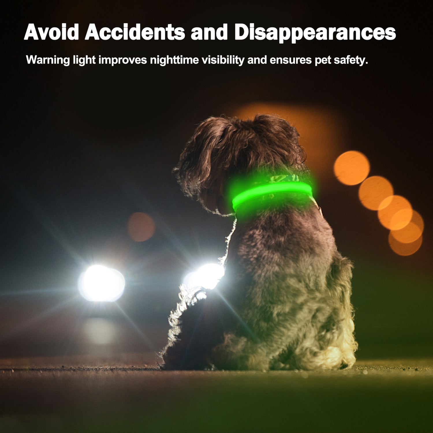 Dog Collar Lights for the dark night, featuring adjustable bright green design and durable materials for pet safety.