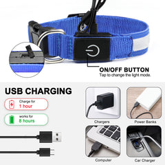 Dog Collar Lights for the dark night, featuring adjustable bright green design and durable materials for pet safety.